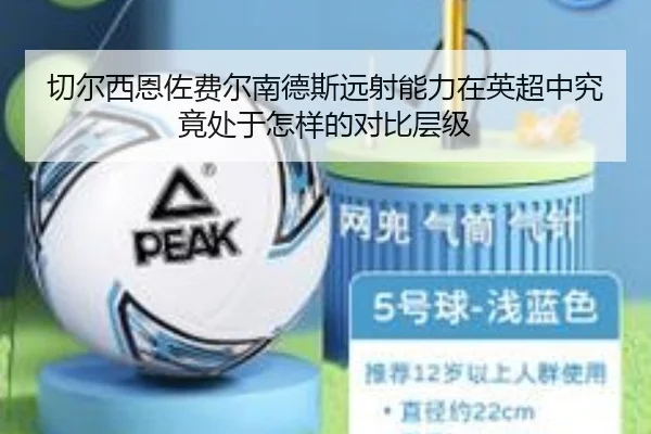 切尔西恩佐费尔南德斯远射能力在英超中究竟处于怎样的对比层级